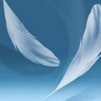 Sai Teja Parsi (@parsisai) 's Twitter Profile
