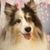 吾郎 (@goro20080720) Twitter profile photo 吾郎 (@goro20080720) Twitter profile photo