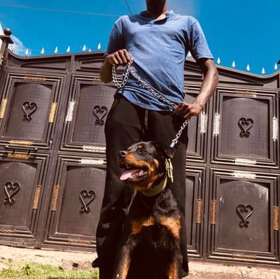 BonyMandela's profile picture. programmer by http://profession. Hockey lover and player. i love dogs more than humans 😂