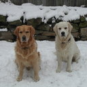 Lois Duke - @LoisDuke - Twitter