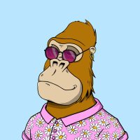 Adamantium 🍄🦍🐍 (@adamantiumch) 's Twitter Profile Photo Adamantium 🍄🦍🐍 (@adamantiumch) 's Twitter Profile Photo