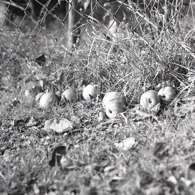 Pirx62423542's profile picture. Cat lover