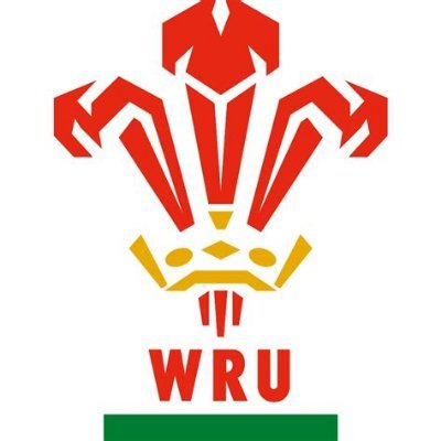4 ex-Wales Rugby Internationals cycling 500 miles from Edinburgh to Cardiff: Alix Popham, Colin Charvis, Ian Gough, and Tony Copsey all riding for Doddie