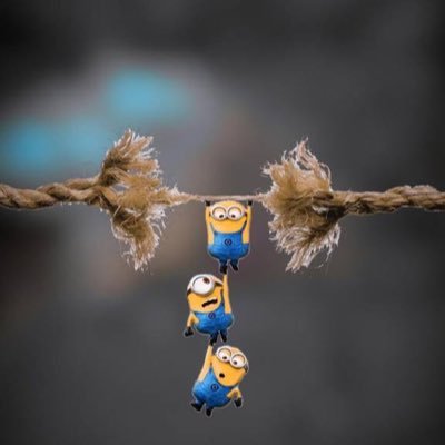 KTurkson1's profile picture. Wise