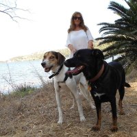 jackie (@jacarander) 's Twitter Profile
