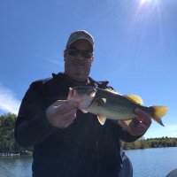 SteveO11 (@o11_steve) 's Twitter Profile