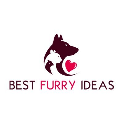 Best Furry Ideas
