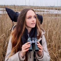 Alex Masterman (@alexmasterman0) 's Twitter Profile
