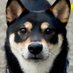 ikuto (@ickut) Twitter profile photo ikuto (@ickut) Twitter profile photo