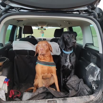 SusiF17's profile picture. 😀