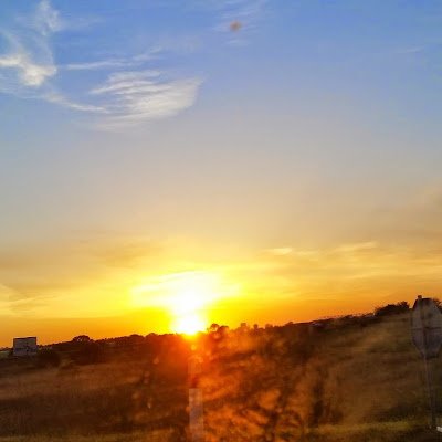 Danfelle1's profile picture. RAS