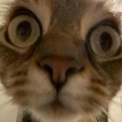 Aru_Hoshiza's profile picture. Artist Digital Illustration

#Opencommission
#fanart
#animestyle
#chibistyle
#semirealism