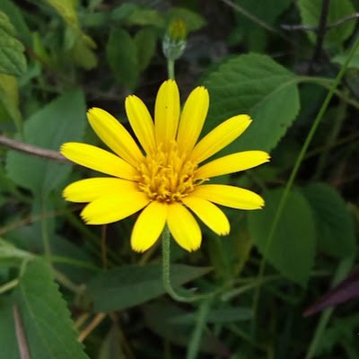 v_kimitich's profile picture. All that is good is me.