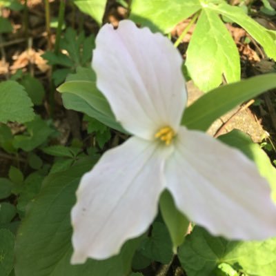 Teaching children about the natural world right outside their front doors & throughout Virginia. Located in Northern VA.