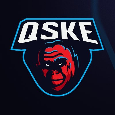 QSKE (@QSKEgaming) / X