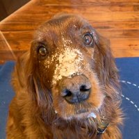 Cryomom (@corinnak) 's Twitter Profile Photo