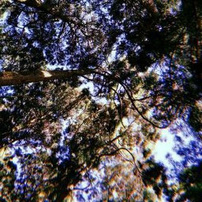 vigneshasokan_'s profile picture. grad student @ISTAustria |  prev. physics @iisermohali '25