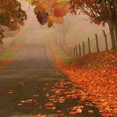 MrsRuchiPandey's profile picture. जीवन का लक्ष्य,अज्ञात की खोज