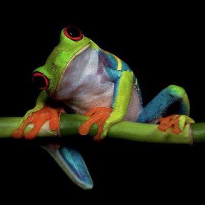 Ventacc67633462's profile picture. Hi!