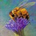 Be Kind And Civilized (@pastelistaz) Twitter profile photo Be Kind And Civilized (@pastelistaz) Twitter profile photo
