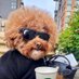 Walter Cundy๐ (@huntingowls) Twitter profile photo Walter Cundy๐ (@huntingowls) Twitter profile photo