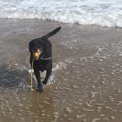 On Island time, living on this Sandbar!