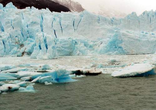 Argentino