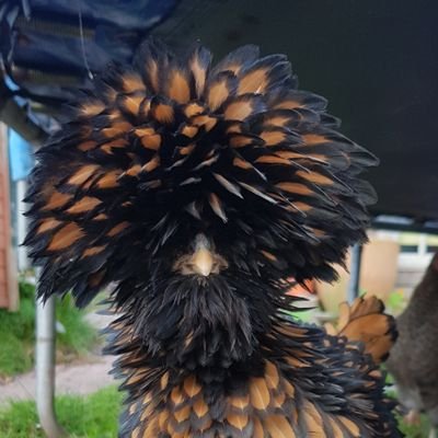 trials46's profile picture. bikes and cynicism