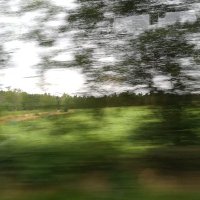 Pictured_me (@mepictured) 's Twitter Profile