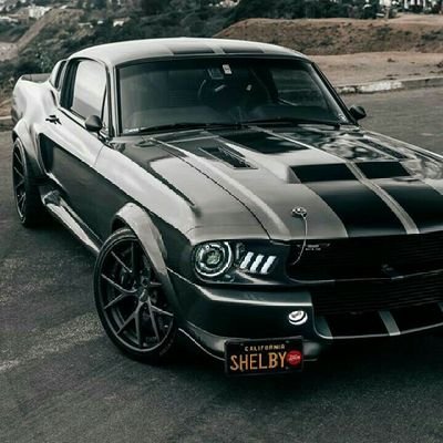 fernandoneto27's profile picture. 