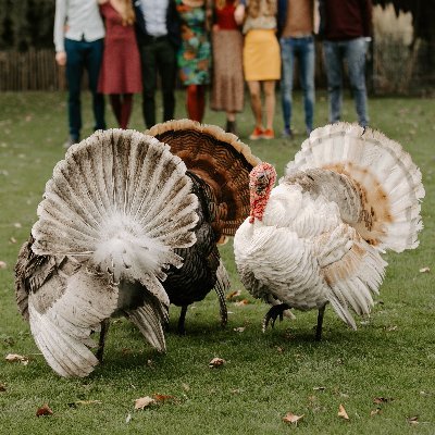KijkjebijBuuren's profile picture. Huisje, boompje, beestje, maar dan net een beetje anders
Erfdelen met familie
Samen delen, samen zorgen
Zoveel mogelijk zelfvoorzienend en duurzaam