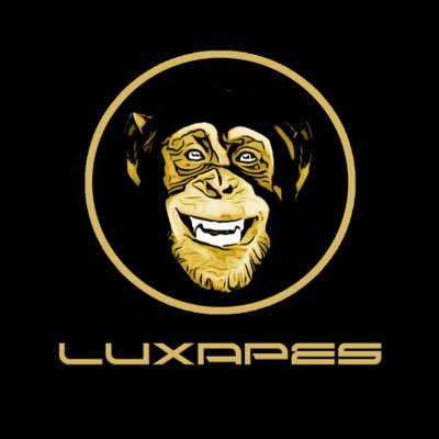 Redefining Luxury in the Metaverse 8888 Lux Ape NFTs Join discord early💥 :https://t.co/iXhNsrNmSM