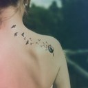 Daphne Rogers - @Daphnerogers__ - Twitter