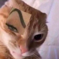 chaos 🔞 (@bellyafthebeast) 's Twitter Profile Photo chaos 🔞 (@bellyafthebeast) 's Twitter Profile Photo
