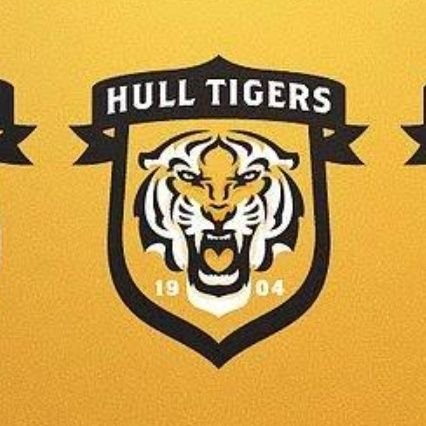 HCitygillerden's profile picture. Tigerrrrrr