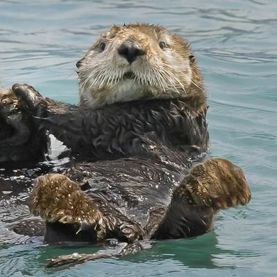 greenbean6969's profile picture. they/them ||  @akira_hehe my beloved