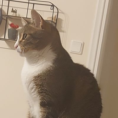 Eleni65956192's profile picture. Travelling, Loving 💖