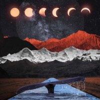 NFTsurreal (@nft_surreal) 's Twitter Profile