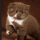 LeeLee - @FaeLeeLee - Twitter