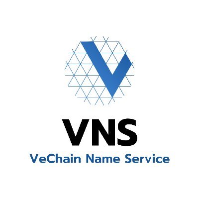 vnsdomains Profile Picture