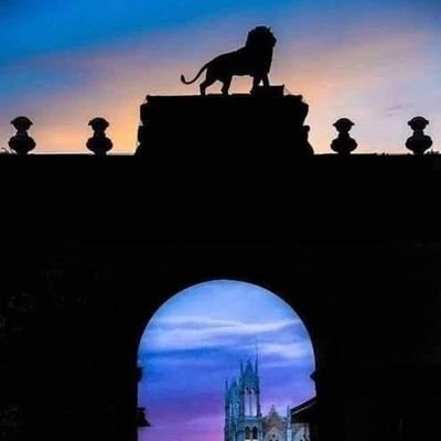 GomezGGuillermo's profile picture. 