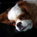 Bob Kessler - @GreatJobBob - Twitter