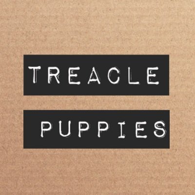 Treacle_Puppies's profile picture. Handmade crochet and felt with pen.