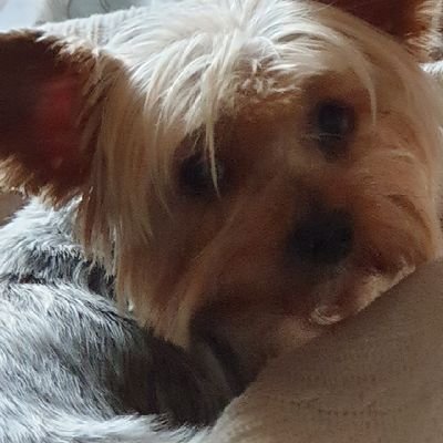 FckMiLyfe's profile picture. 