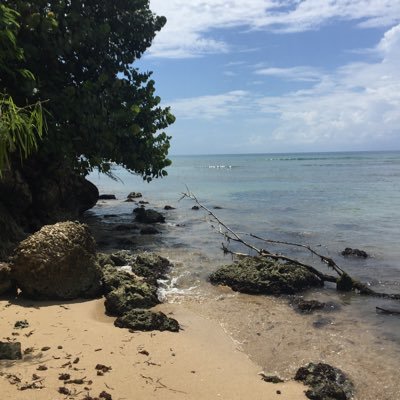 MissZ1974's profile picture. Riding the waves of our NHS