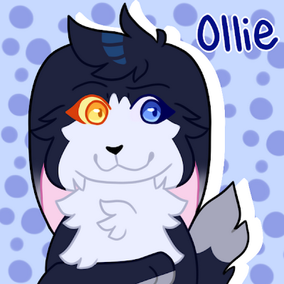 Official OFC!さんのプロフィール画像
