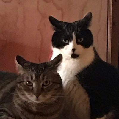 tuxandwinnie's profile picture. unnaturally large menace to society and round little guy dude man