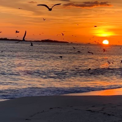 klmnop6789's profile picture. 