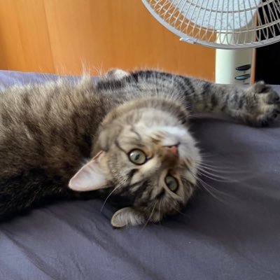 cheryl_winsley's profile picture. 