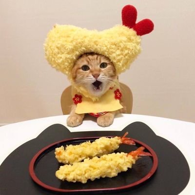 user64928492's profile picture. 